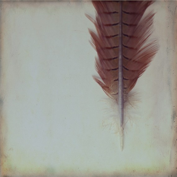 marsala feather